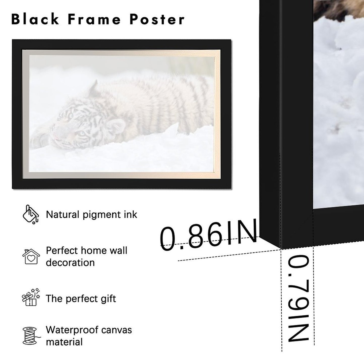 Snow Tiger Canvas Wall Art – Modern Framed Animal Decor