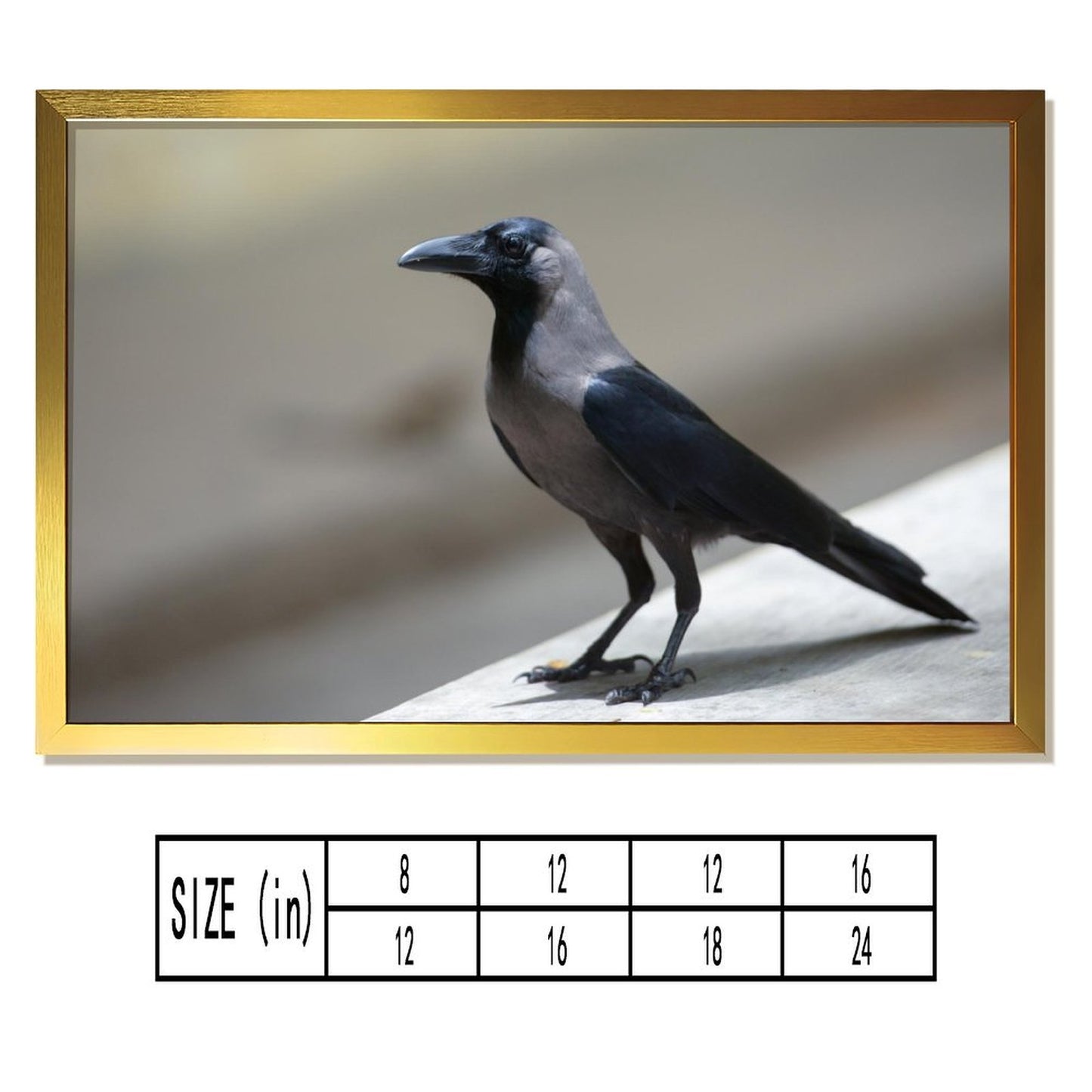 Minimalist Crow Wall Art – Modern Black Bird Photography Print- 135