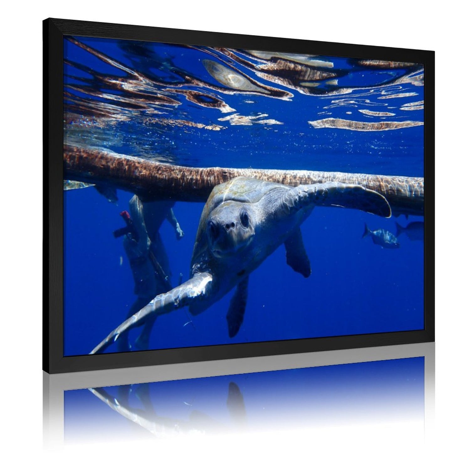 Elegant Turtle Art Print Nature Scene with Golden Frame-18