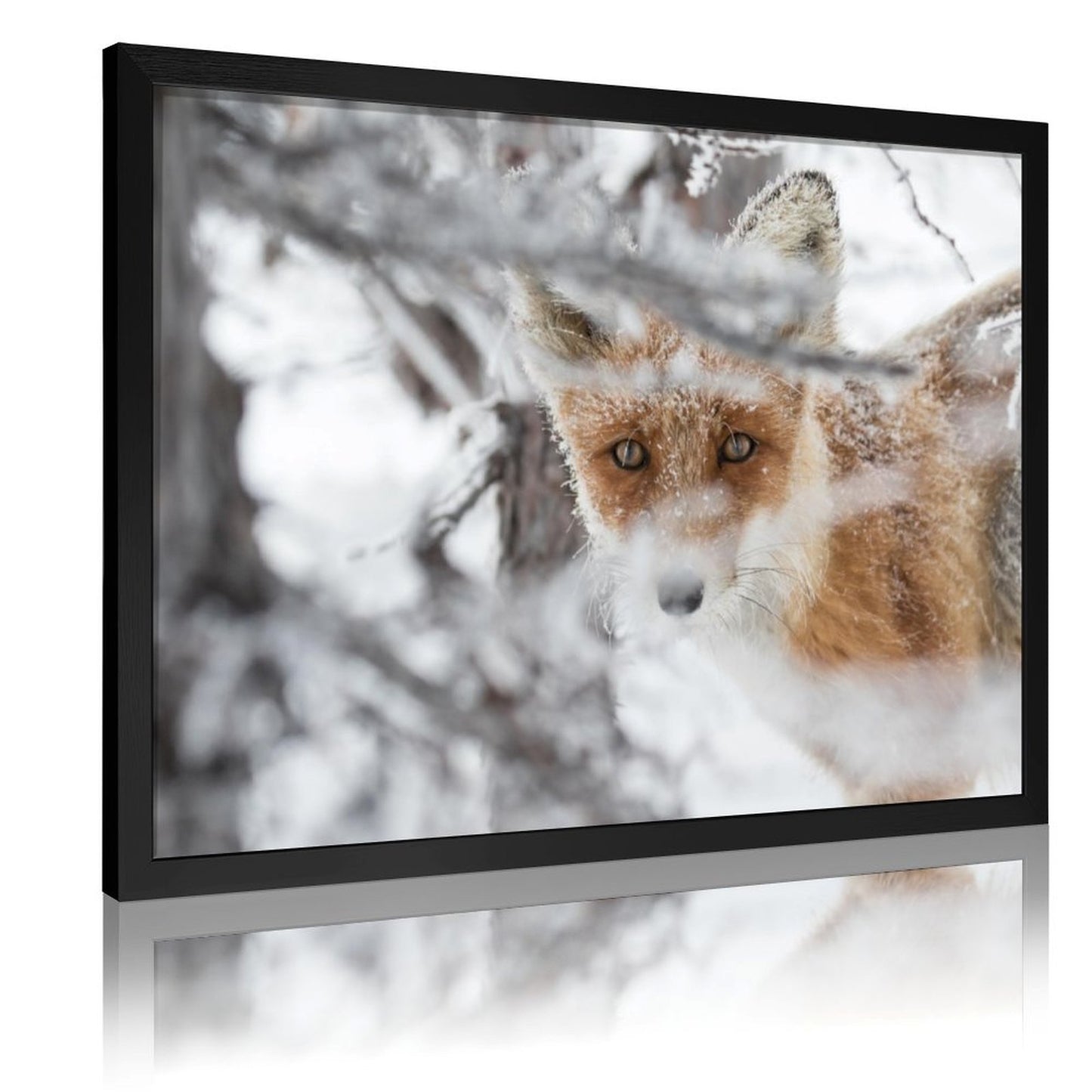Minimalist Fox in Snow Art Picture Golden Frame Decor-28
