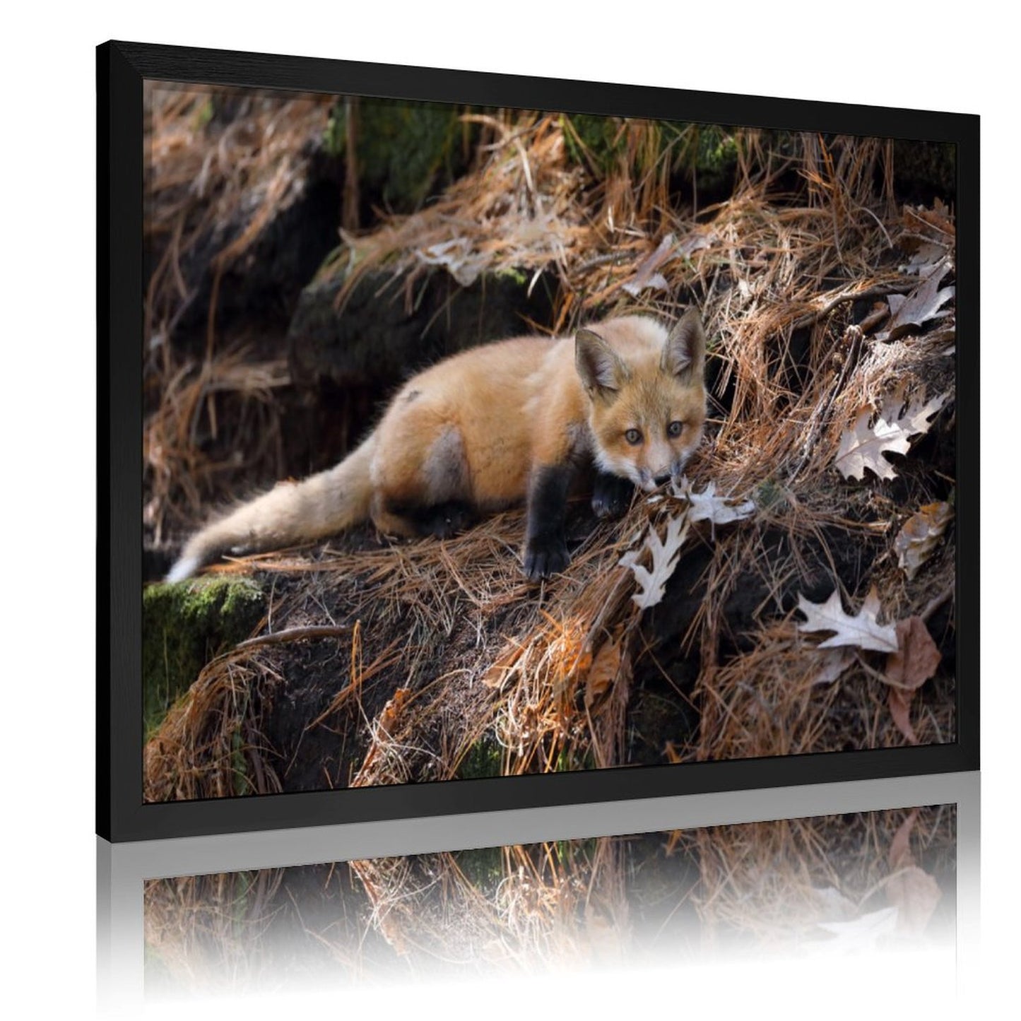 Snow Fox Wall Art with Gold Frame Nordic Home Decor-37