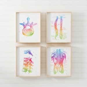 Chiropractor Gift - Chiropractic Art Set of 4 Prints - Watercolor Chiropractor Print - Osteopathy