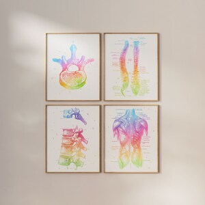 Chiropractor Gift - Chiropractic Art Set of 4 Prints - Watercolor Chiropractor Print - Osteopathy