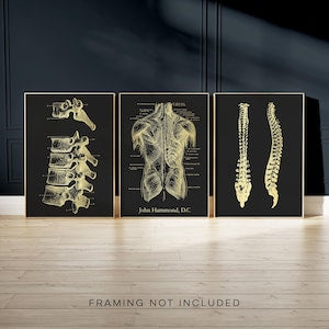 Custom Chiropractor Gift: Gold Foil Spine Art Print Set