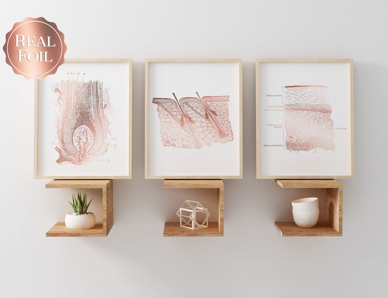 Esthetician Gift Set of 6 Prints - Esthetician Office Decor - Dermatology Art - Gold Foil Print - Epidermis Art