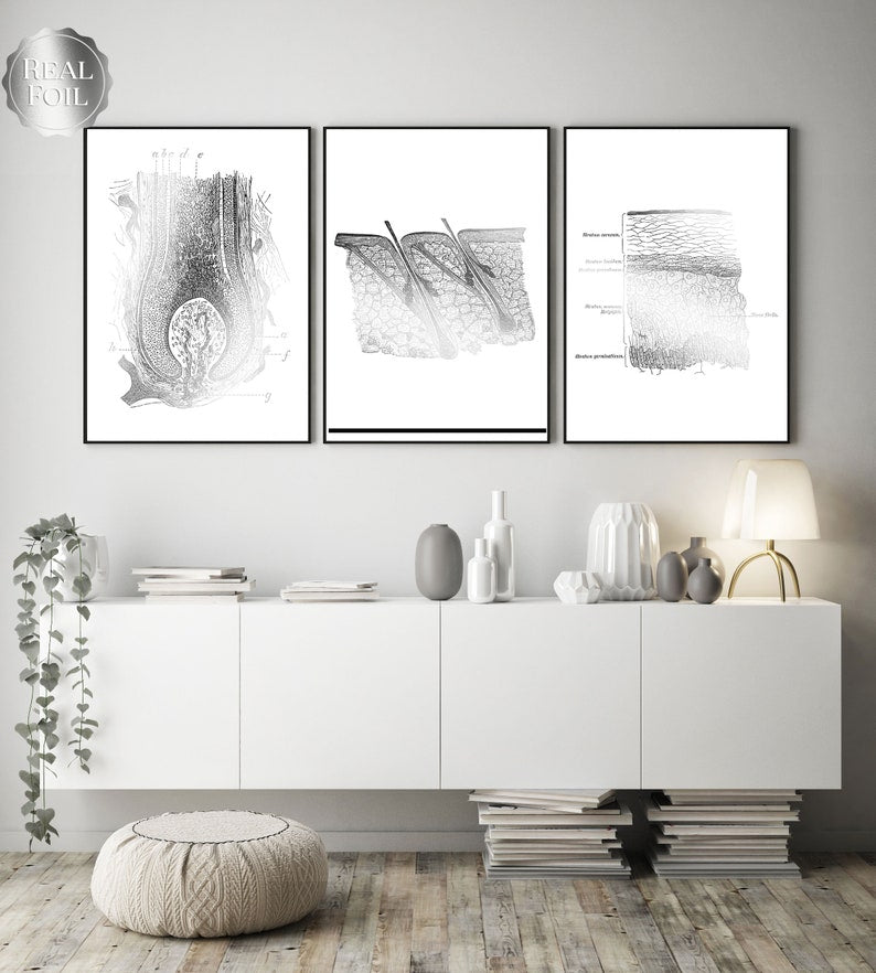 Esthetician Gift Set of 6 Prints - Esthetician Office Decor - Dermatology Art - Gold Foil Print - Epidermis Art