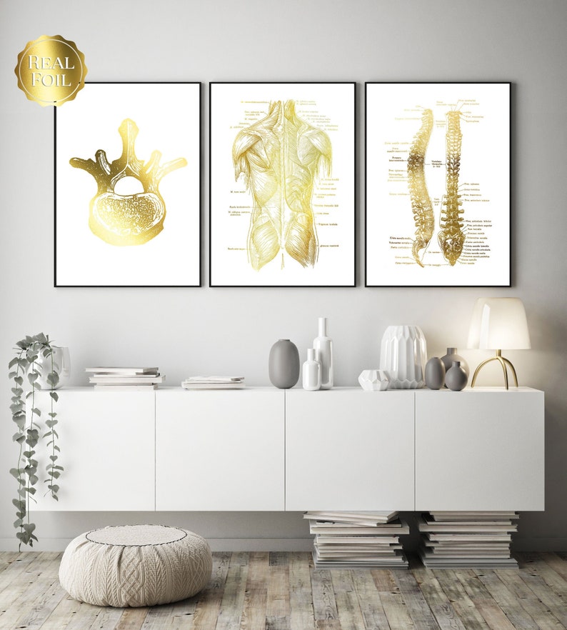 Chiropractic Art - Chiropractor Gift - Chiropractor Office Decor - Gold Foil Print - Osteopathy