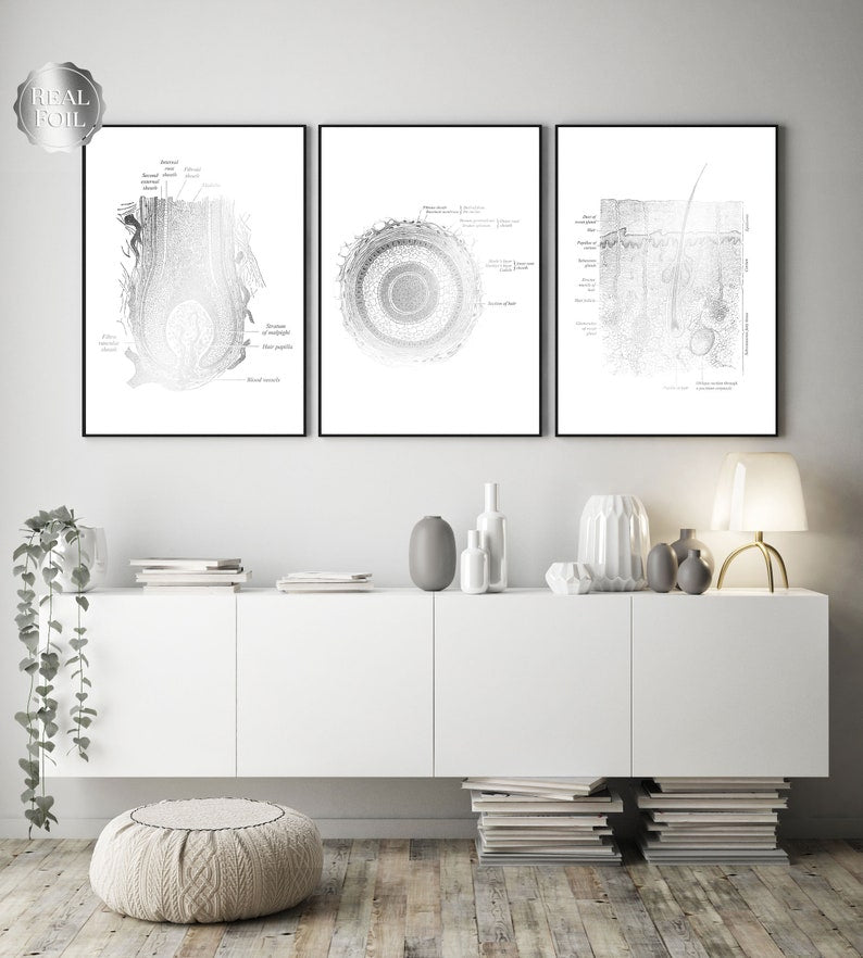 Dermatologist Gift - Dermatology Print - Integumentary System - Esthetician Gift - Histology Art