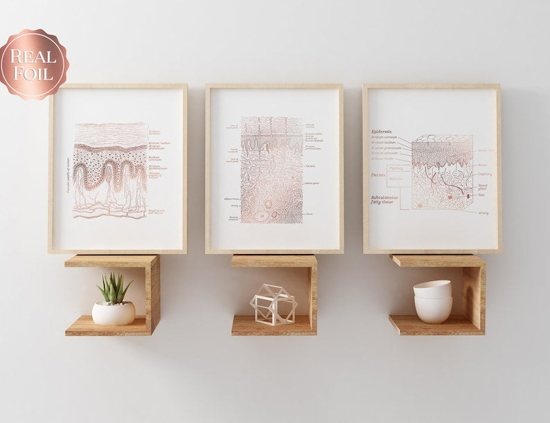Dermatologist Gift - Dermatology Print - Epidermis Art - Esthetician Gift - Dermatology Office Decor