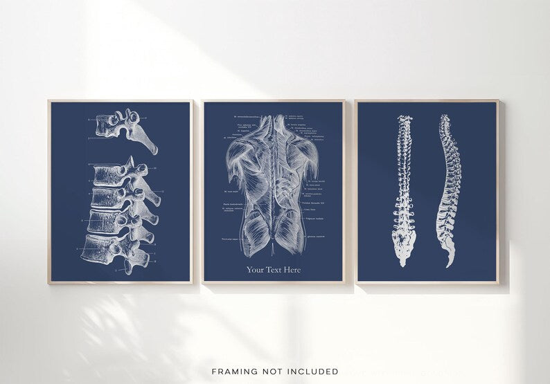 Custom Chiropractor Gift: Gold Foil Spine Art Print Set