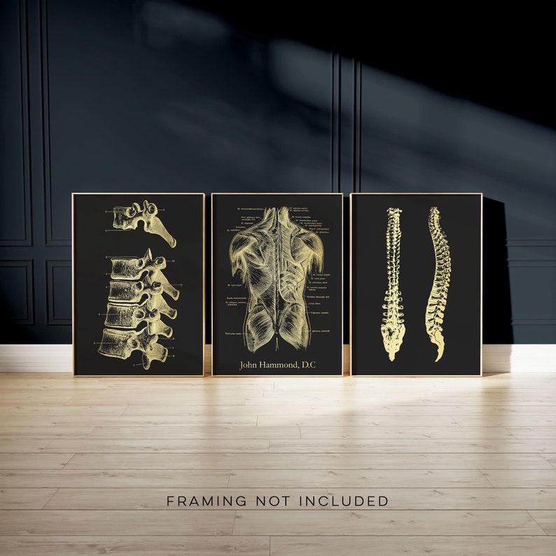 Custom Chiropractor Gift: Gold Foil Spine Art Print Set
