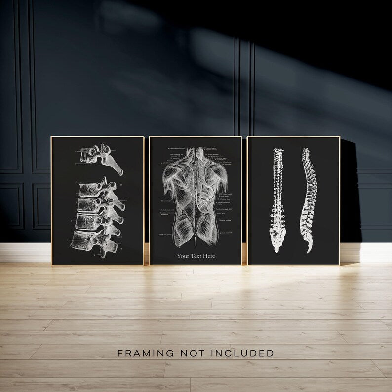 Custom Chiropractor Gift: Gold Foil Spine Art Print Set