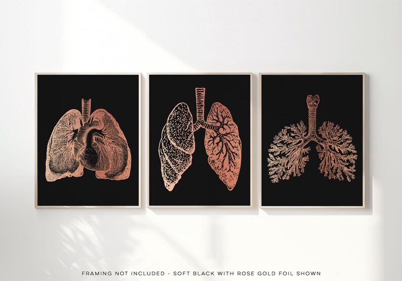 3 Piece Lung Art Set: Gold Foil Pulmonologist Gift