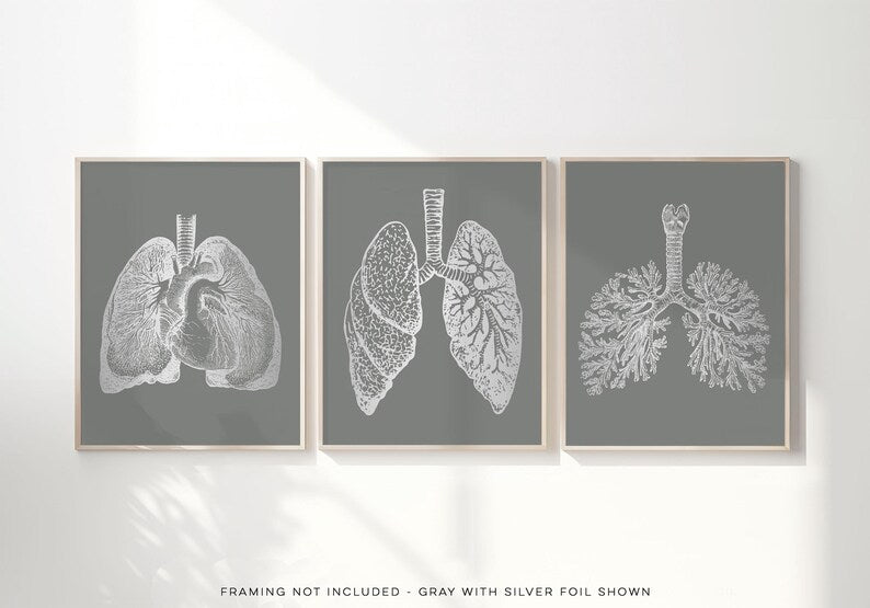 3 Piece Lung Art Set: Gold Foil Pulmonologist Gift