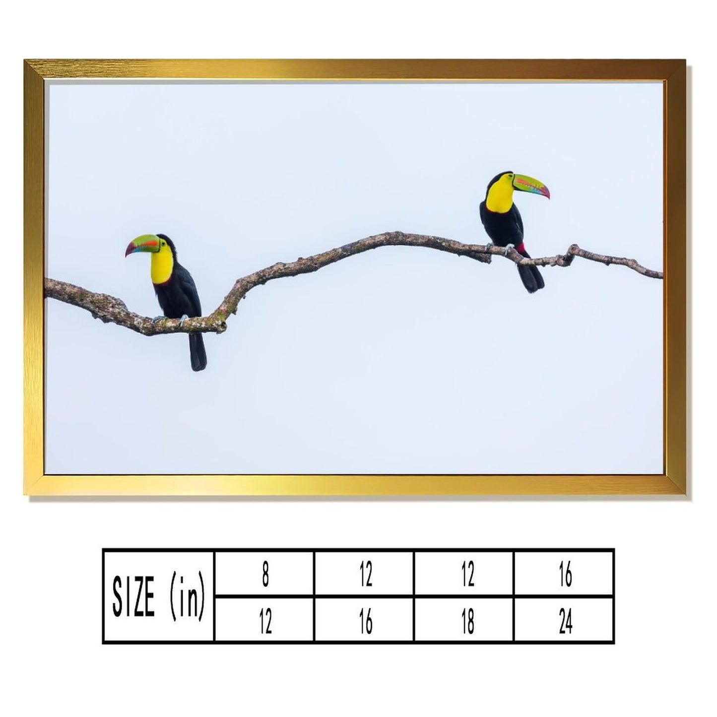 Tropical Toucan Duo Wall Art – Modern Nature Photography Print-13