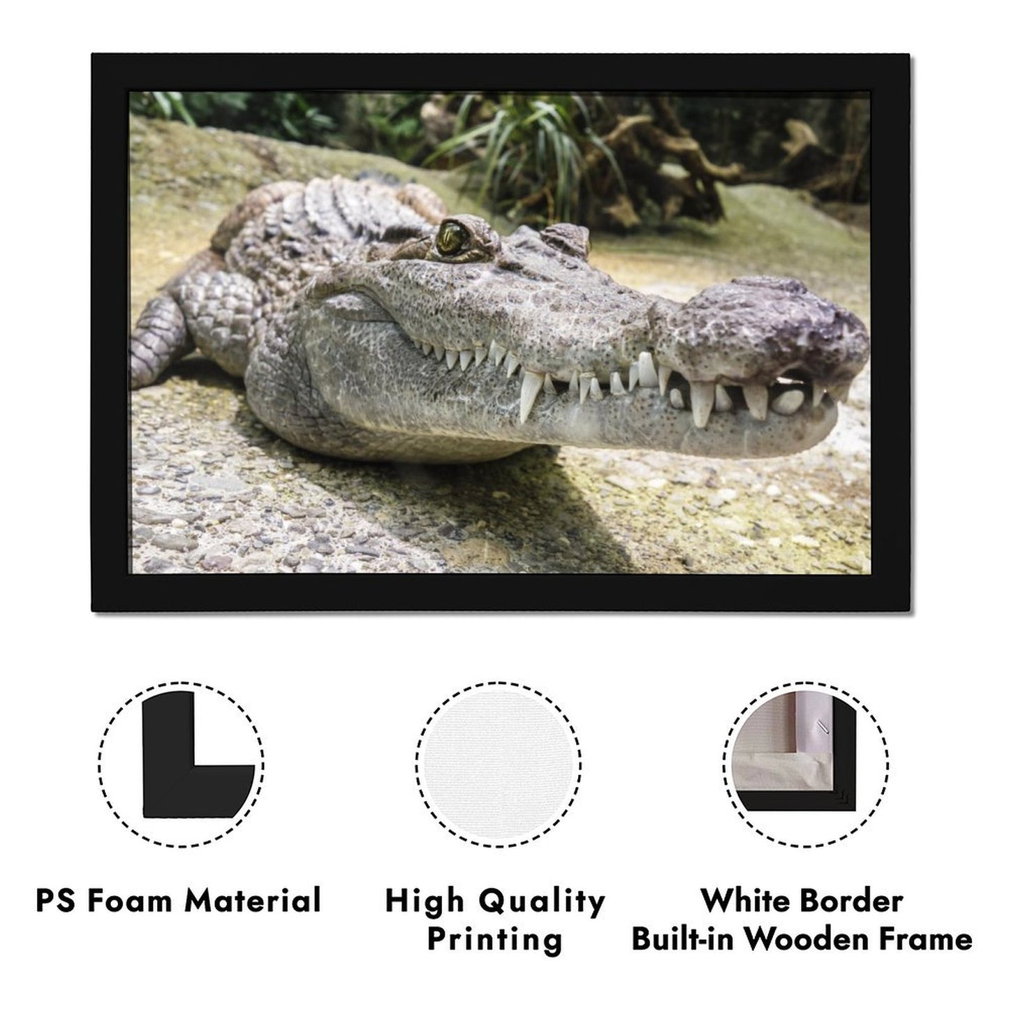 Alligator Canvas Painting Nature Animal Wall Picture