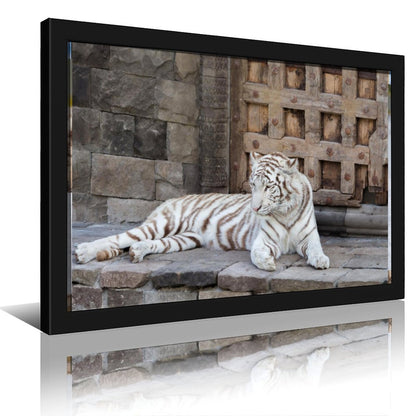 White Tiger Canvas Wall Art – Elegant Modern Animal Print Decor-14