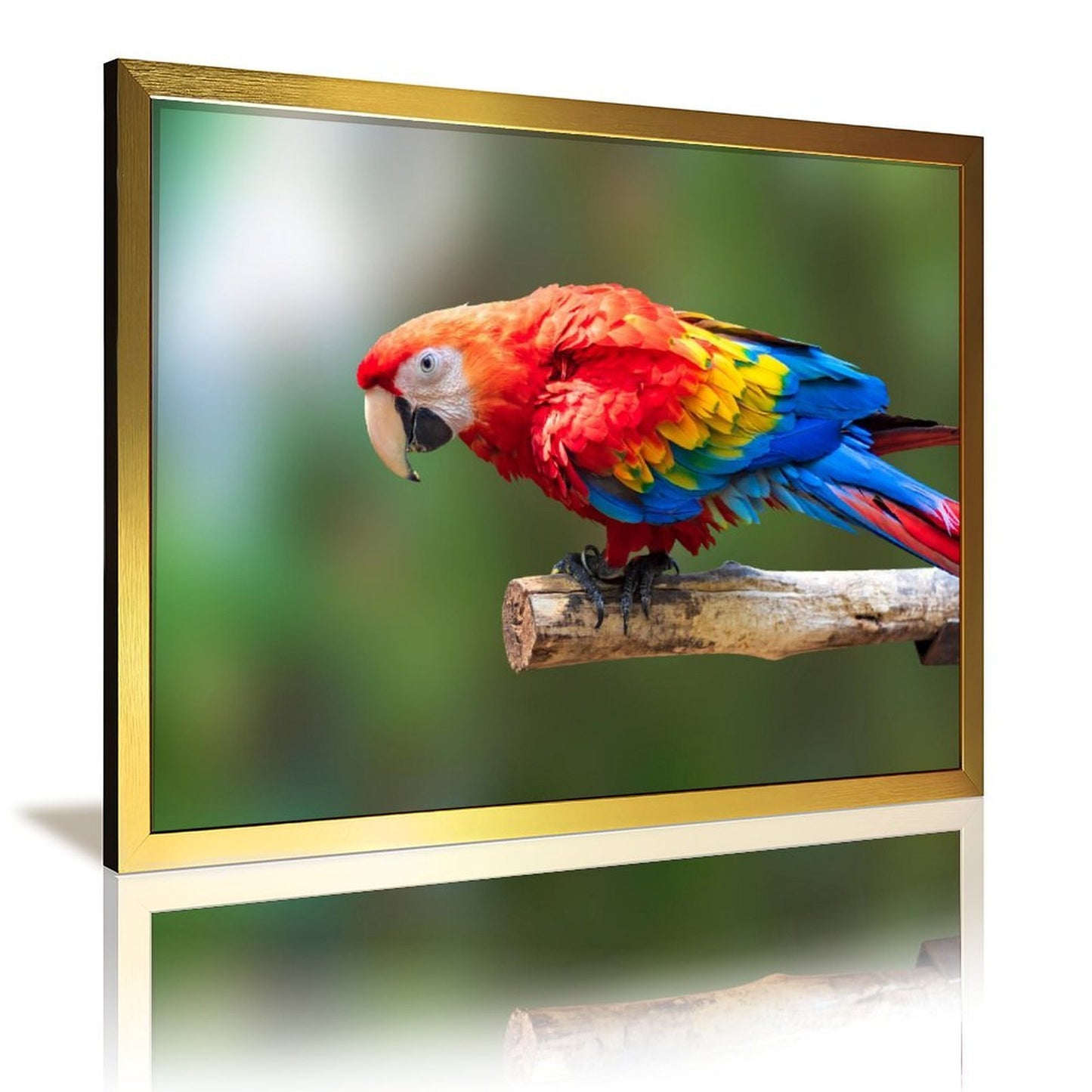 Tropical Toucan Duo Wall Art – Modern Nature Photography Print-13