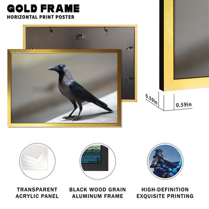 Minimalist Crow Wall Art – Modern Black Bird Photography Print- 135