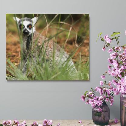 Lemur Wall Art Framed Canvas Wildlife Animal Decor-15