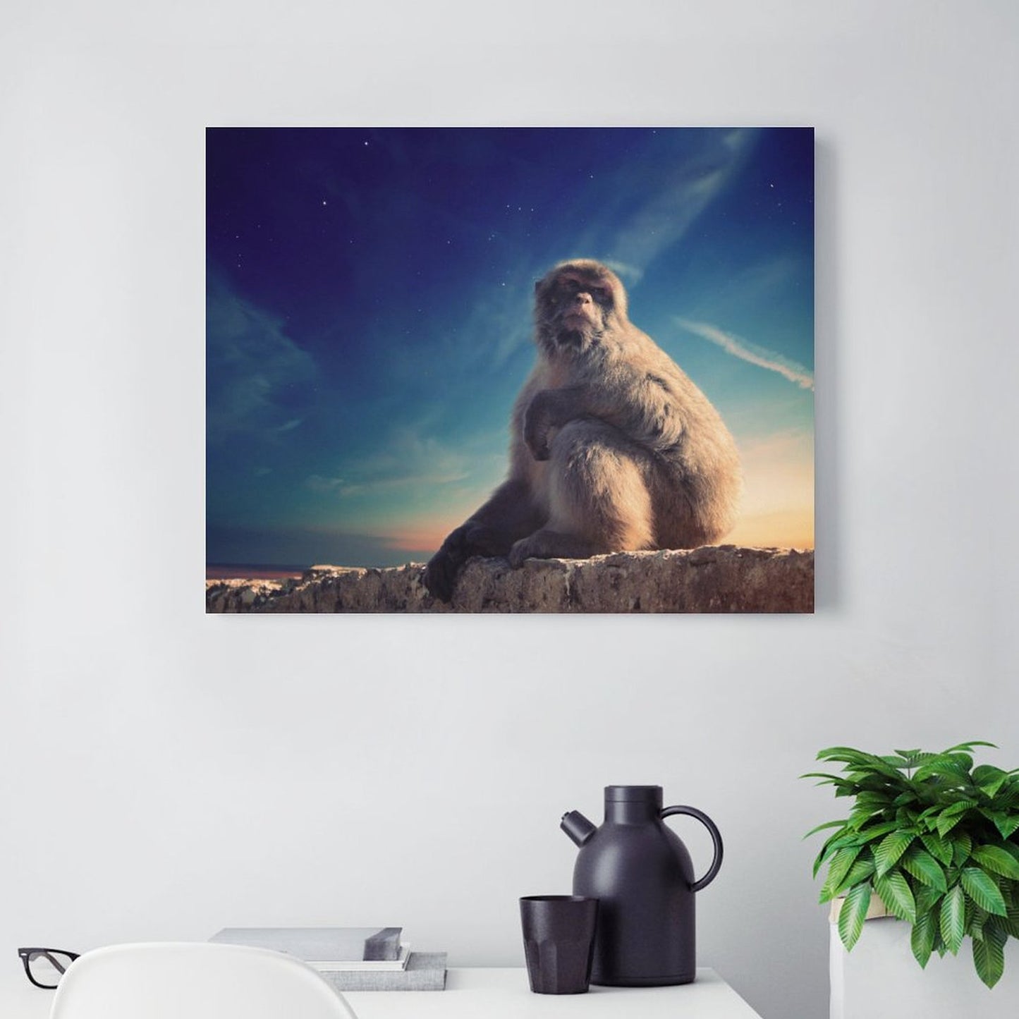 Baby Monkey Portrait Framed Canvas Wall Decoration-09