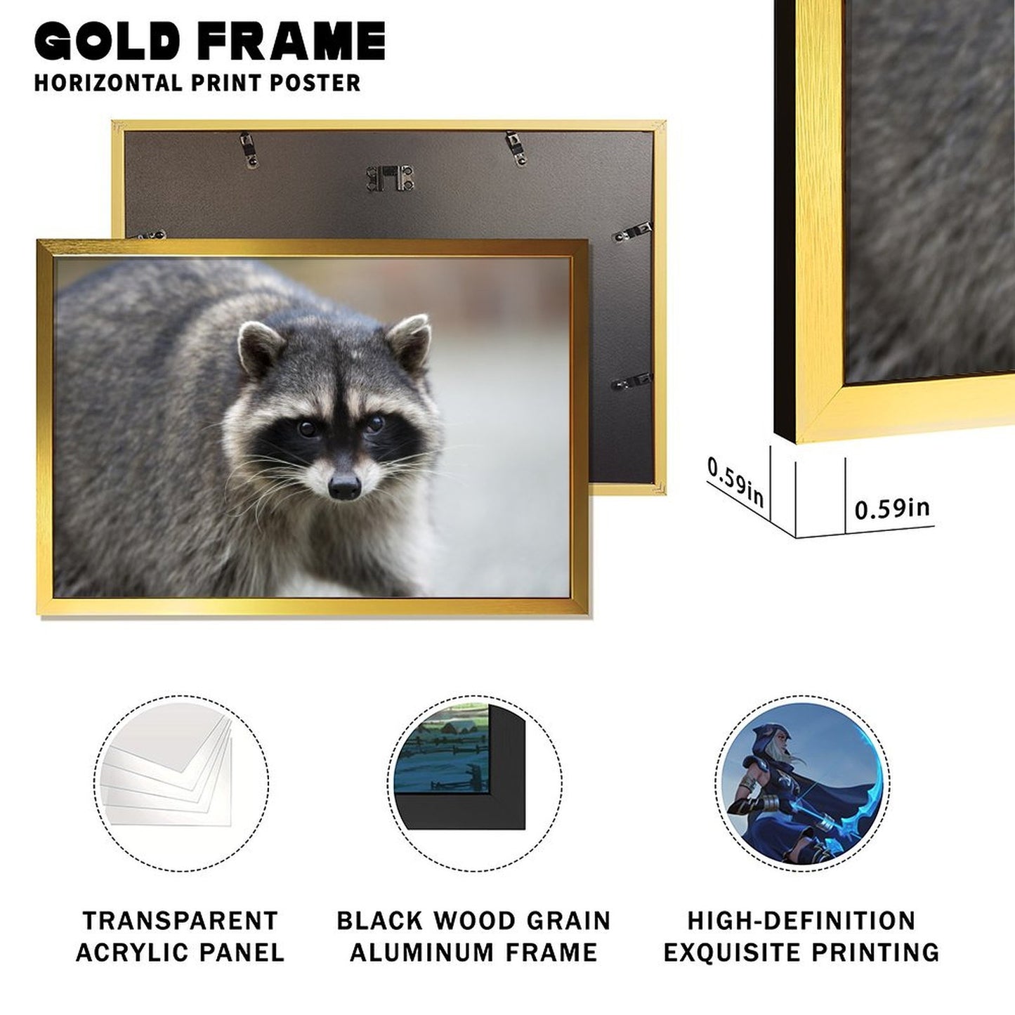 Golden Frame Raccoon Wall Painting for Living Room