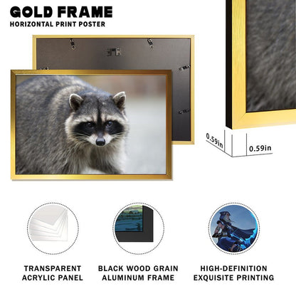 Golden Frame Raccoon Wall Painting for Living Room