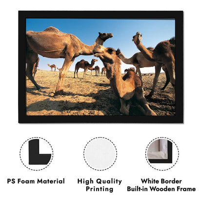 Desert Camel and Pyramid Canvas Art Modern Home Decor-02