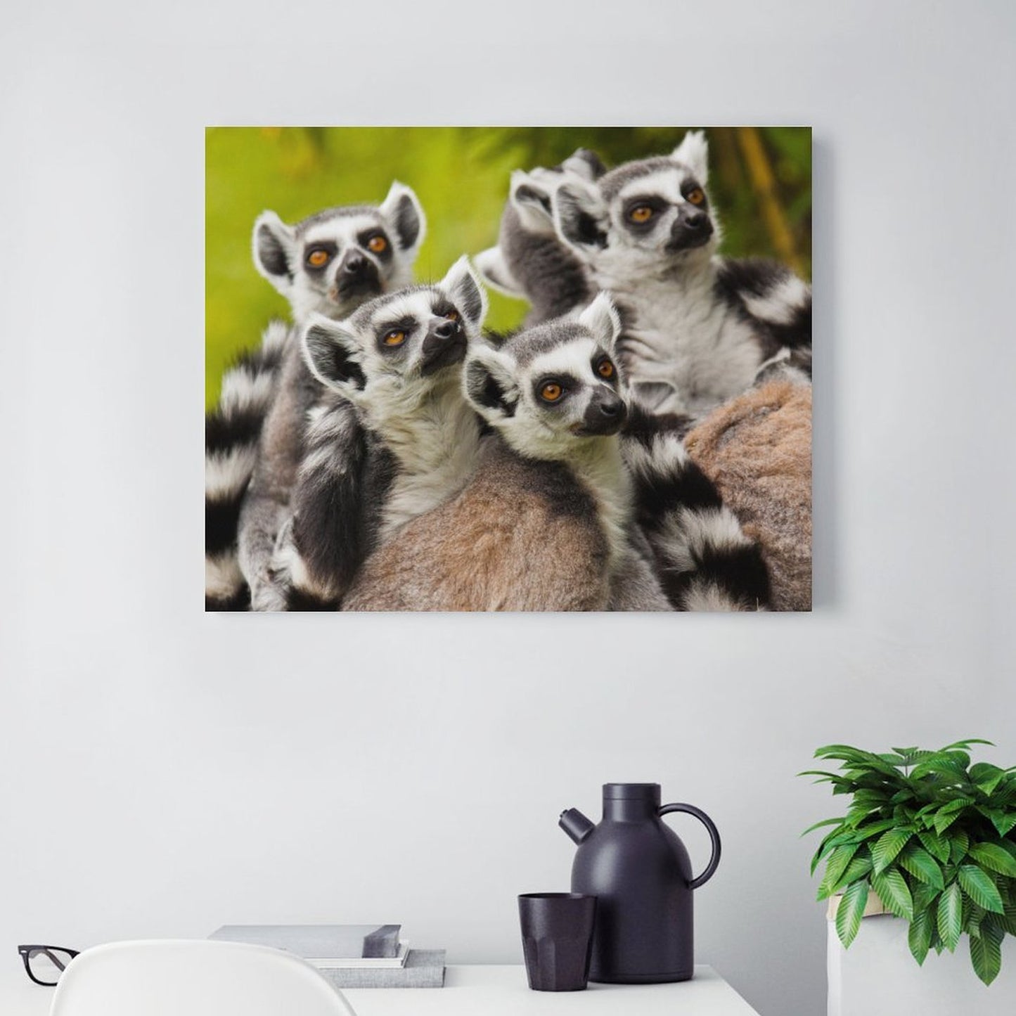 Wild Lemur Wall Picture Nature Animal Framed Decor-06