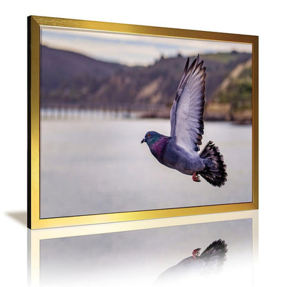 Tropical Toucan Duo Wall Art – Modern Nature Photography Print-13