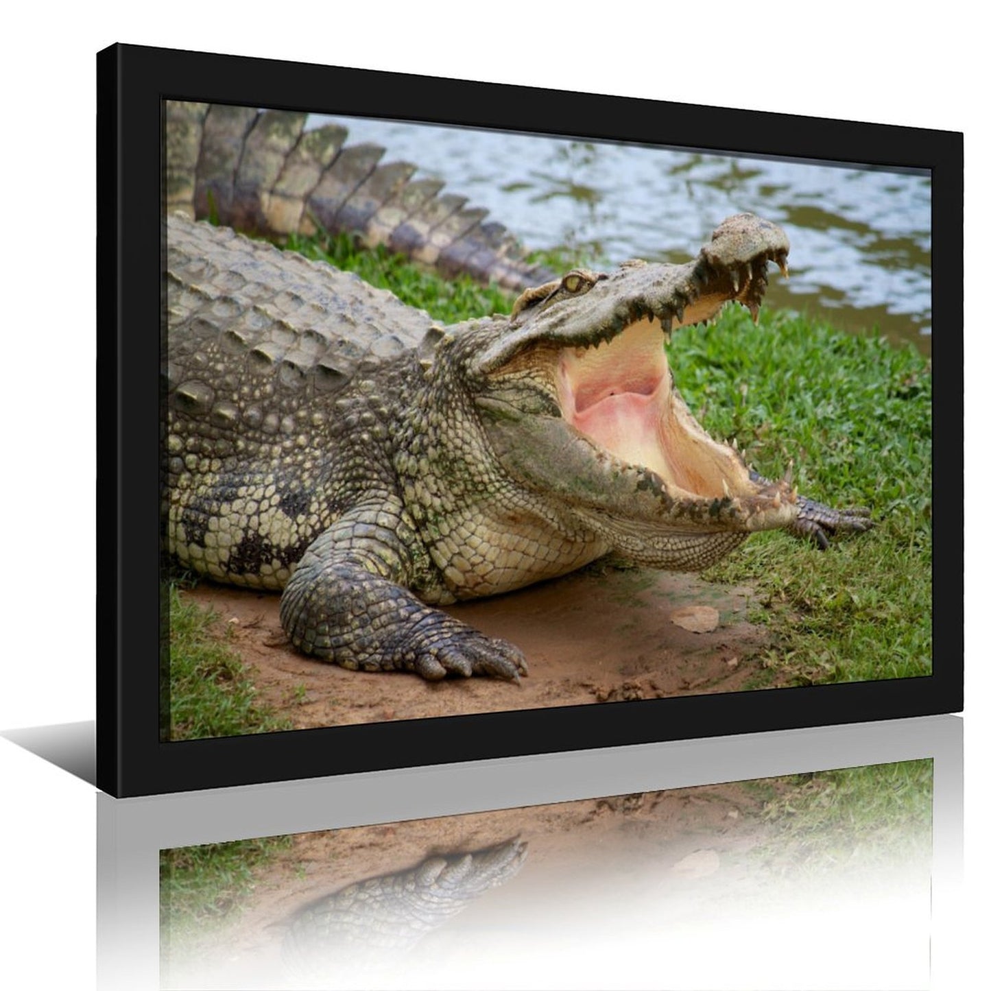 Modern Wildlife Art Crocodile Canvas Wall Decoration