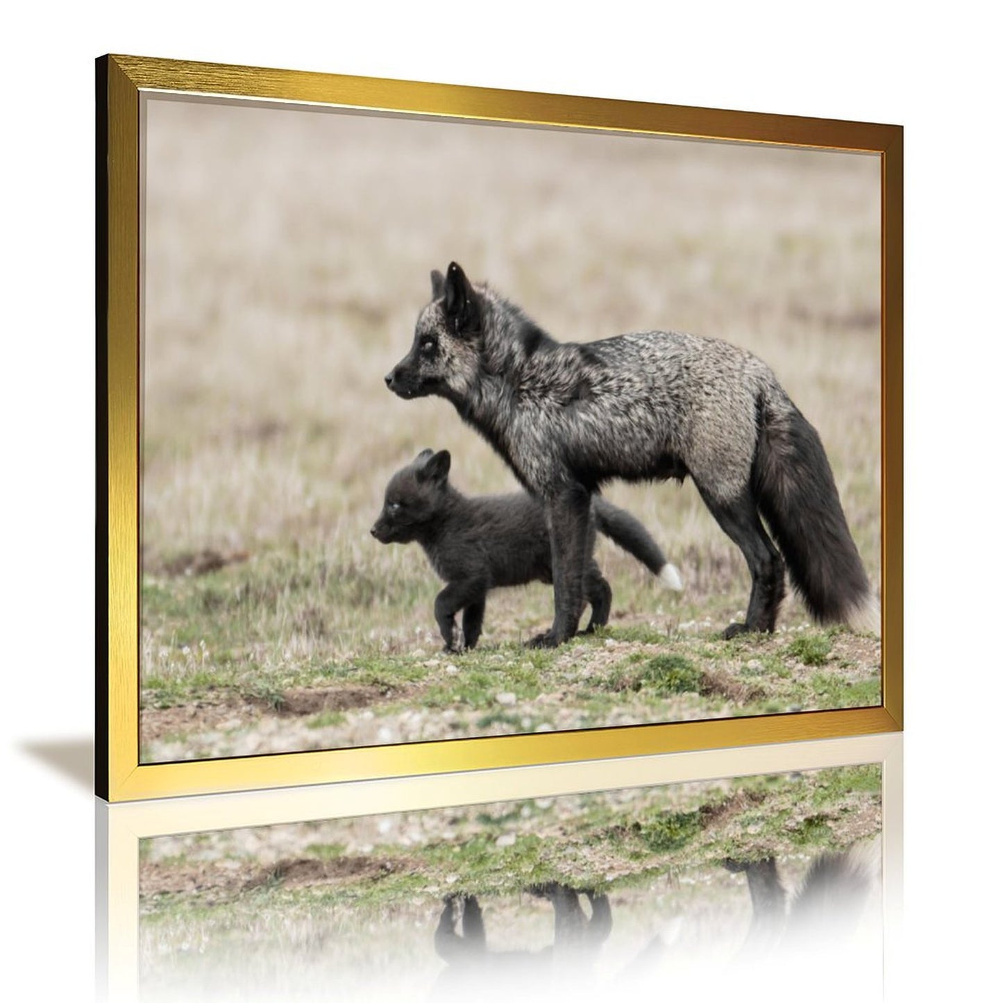 Nordic Fox Wall Picture Animal Art in Golden Frame