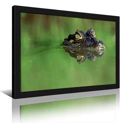 Crocodile in Water Wall Art Black Frame Wildlife Decor