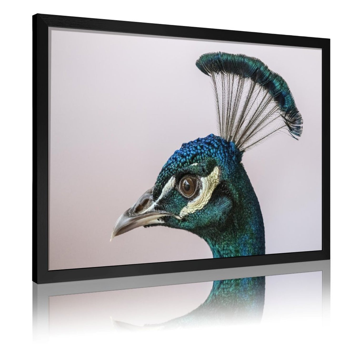 Tropical Toucan Duo Wall Art – Modern Nature Photography Print-13