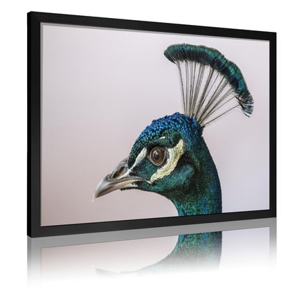 Tropical Toucan Duo Wall Art – Modern Nature Photography Print-13