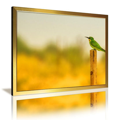 Tropical Toucan Duo Wall Art – Modern Nature Photography Print-13