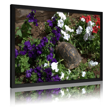 Turtle in Garden Wall Art Gold Frame Nature Decoration