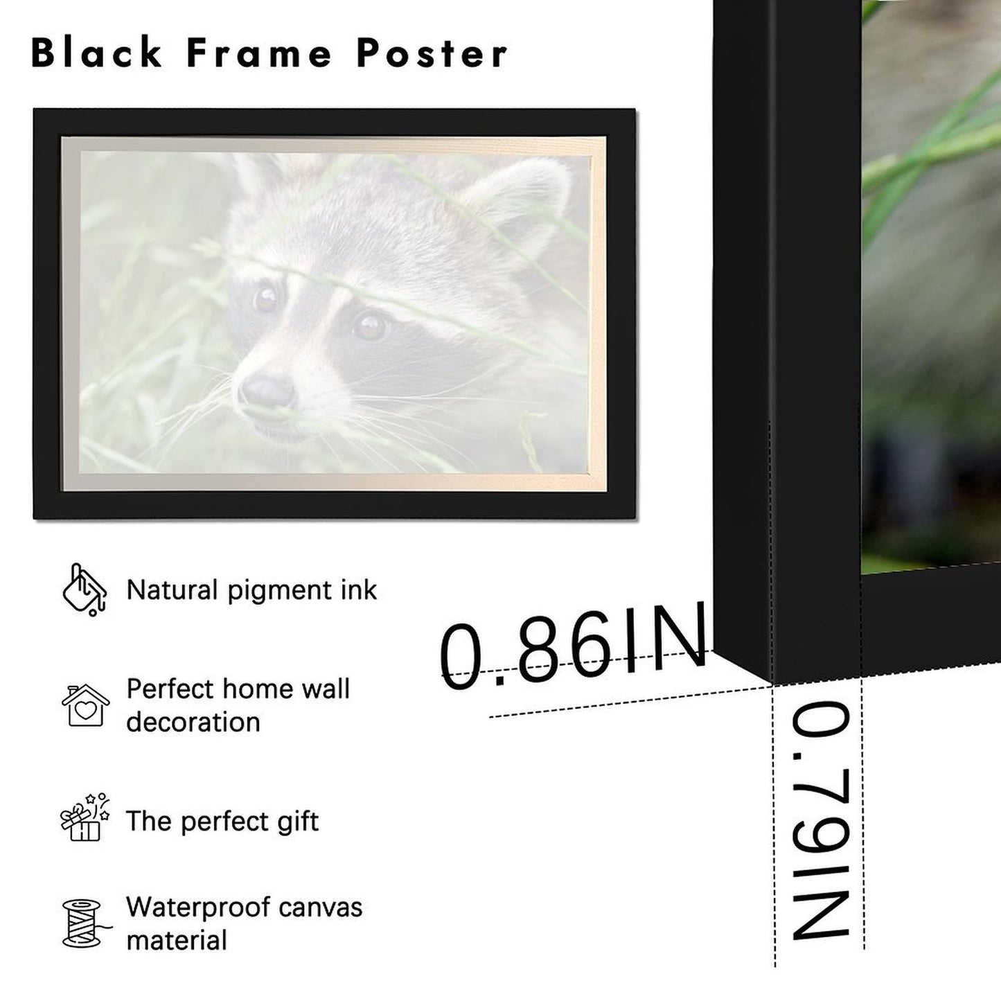 Cute Raccoon Canvas Painting with Golden Wooden Frame-012