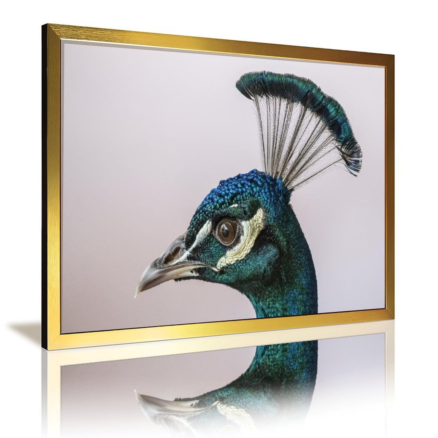 Tropical Toucan Duo Wall Art – Modern Nature Photography Print-13