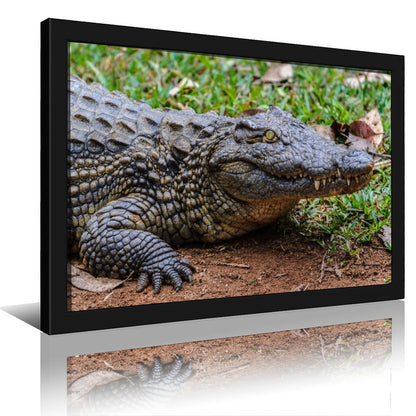 Wildlife Crocodile Wall Art Black Frame Home Decoration