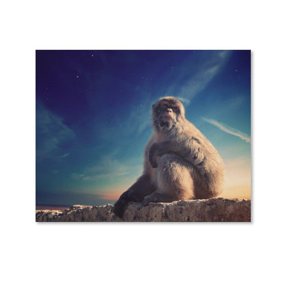 Baby Monkey Portrait Framed Canvas Wall Decoration-09
