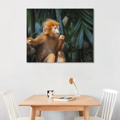 Adorable Baby Monkey Wall Picture Nursery Decoration-10