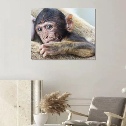 Baby Monkey Wall Art Framed Animal Canvas Print-012