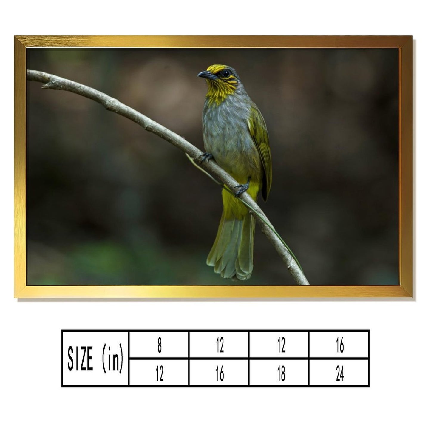 Yellow-Green Songbird on Branch – Elegant Nature Wall Art Print-148