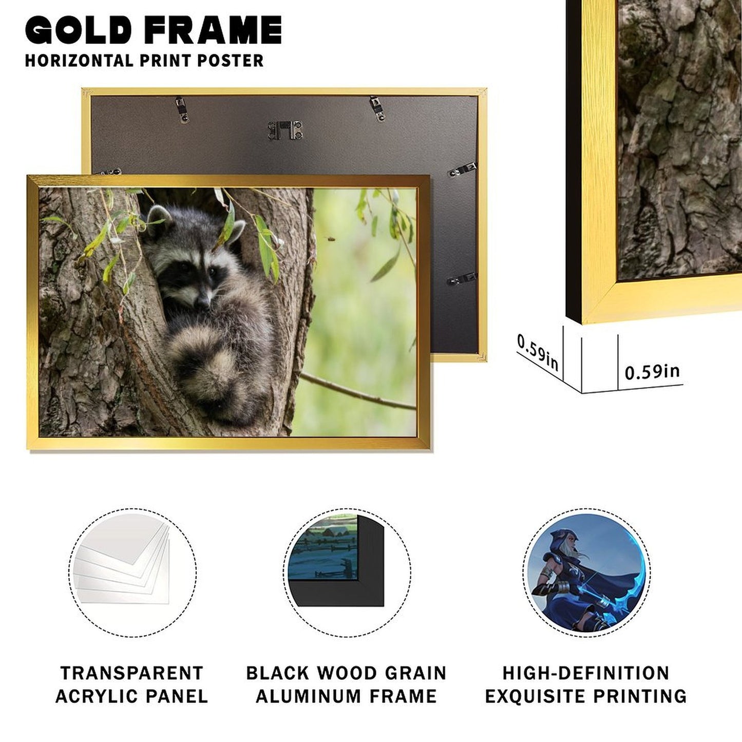 Raccoon in Tree Wall Art Gold Frame Animal Home Decor-011