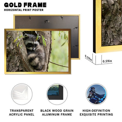 Raccoon in Tree Wall Art Gold Frame Animal Home Decor-011
