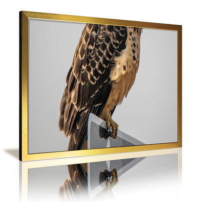 Tropical Toucan Duo Wall Art – Modern Nature Photography Print-13