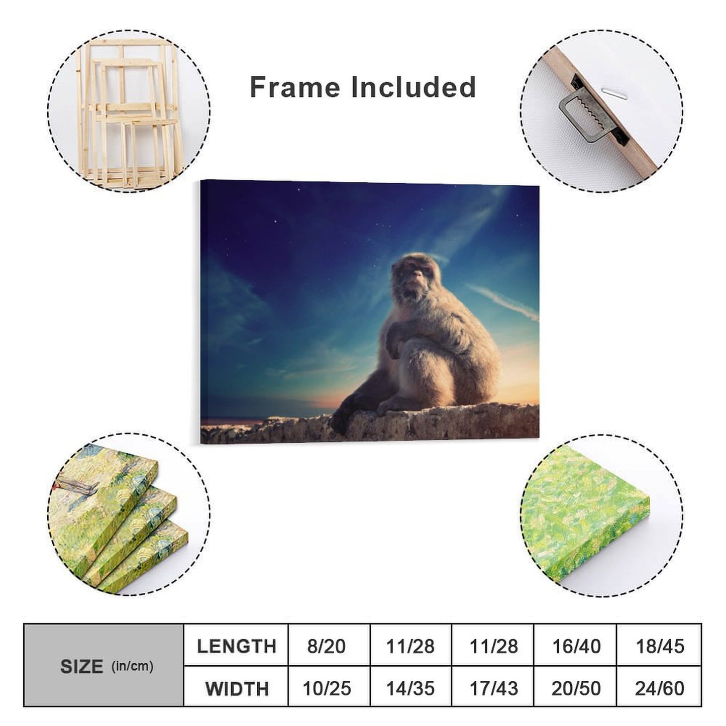 Baby Monkey Portrait Framed Canvas Wall Decoration-09