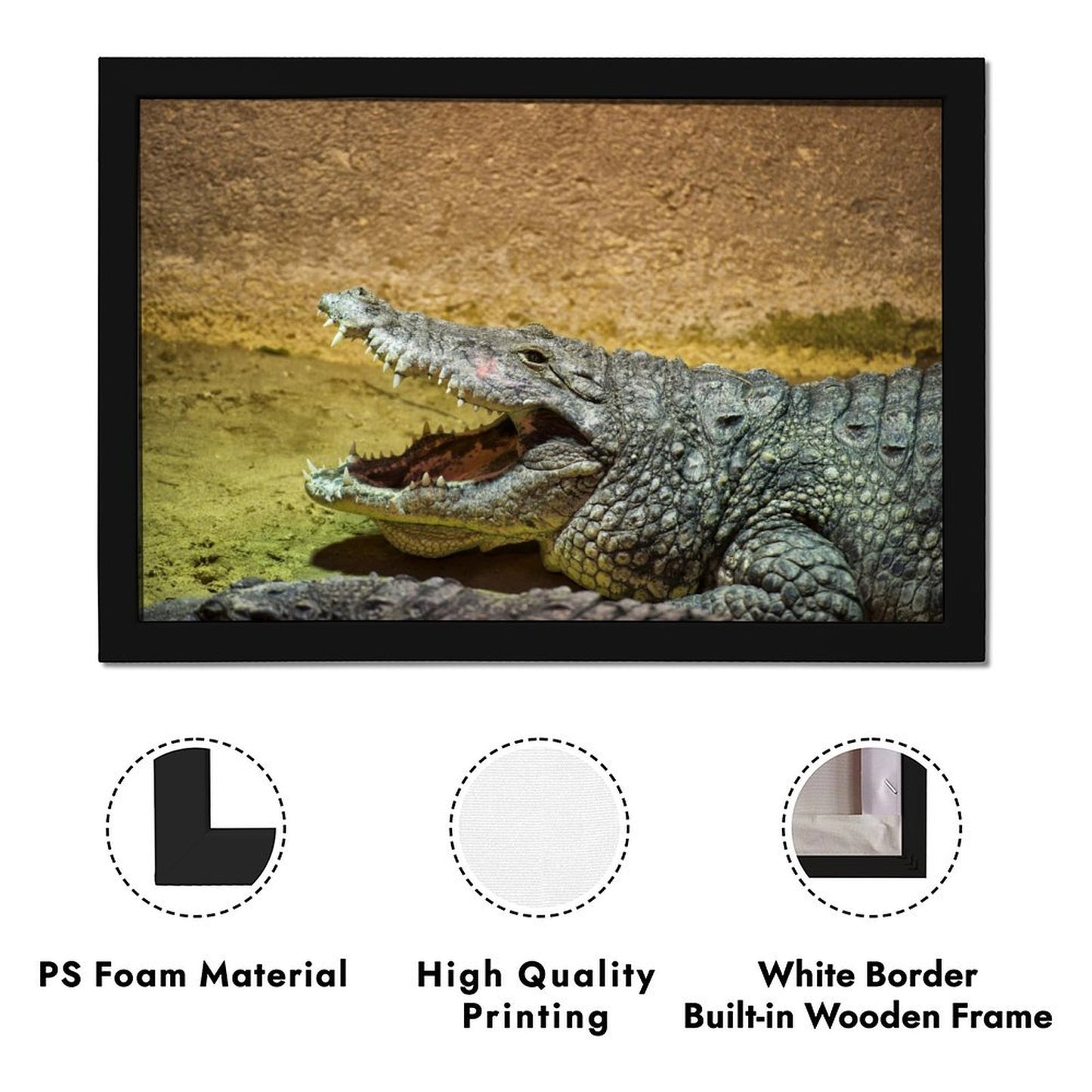 Black Frame Crocodile Wall Picture Nature Animal Decor-78