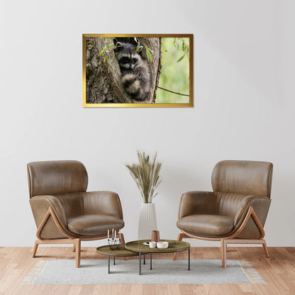Raccoon in Tree Wall Art Gold Frame Animal Home Decor-011